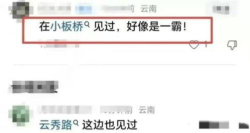 黑料车友爆料视频网站在线观看,揭秘热门视频网站在线观看幕后真相  第2张